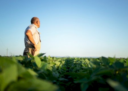 Recordes de produção escondem crise financeira entre produtores rurais