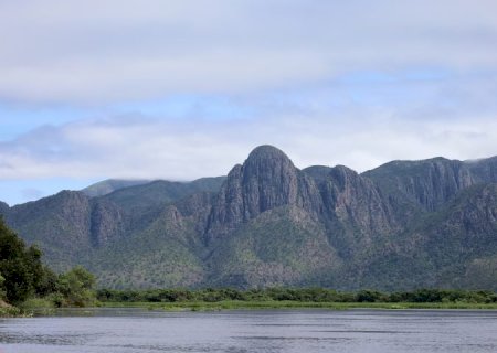 Para preservar o Pantanal, PSA Brigadas destinou mais de R$ 6,1 milhões para diferentes projetos sustentáveis