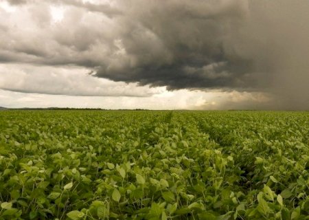 Brasil enfrenta extremos de chuva e seca na reta final da safra de soja