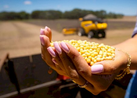 Segunda estimativa da Safra 2025/2026 aponta efeitos da ausência de chuvas na produção de grãos no RS