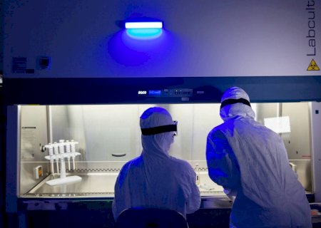 Como uma nova onda de imunoterapia está eliminando cânceres