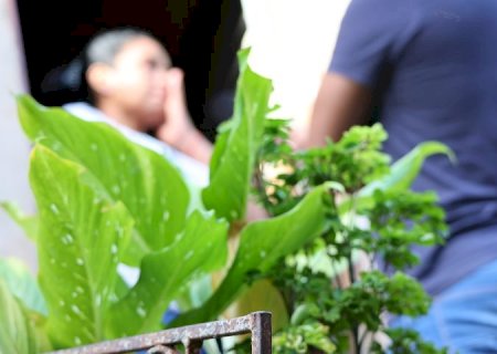 Filhos de vítimas de feminicídio em Mato Grosso do Sul recebem benefícios sociais