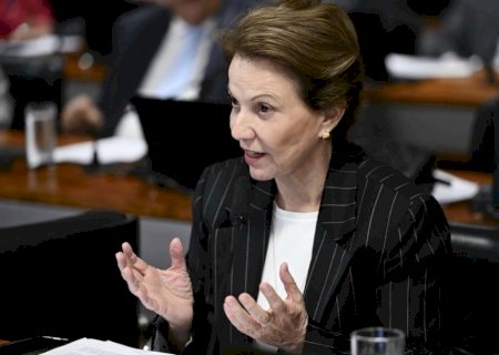 Justiça determina exclusão de vídeo que pede para eleitores não votarem em candidatos apoiados por Tereza Cristina